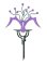 RMG106  Queen Lunaria Orchid