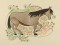 BFC1126 Decorative Element Series Filled in Horses