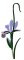 Iris Eleant