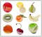 BFC1358 Sheer Fruit