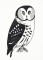 BFC1447 Blackwork Owls
