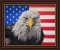 BFC1463 Large Eagle with American Flag