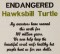 BFC1491 Endangered Species Series - Hawksbill Turtle