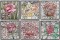 BFC1537 Stained Glass Squares-Roses