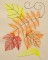 BFC1588 Backgrounds - Summer Leaves