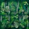 BFC1592 Backgrounds - Jungle Leaves