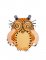 BFC1718 Steampunk Owls