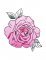 BFC1724 Decorative Roses 03