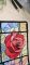 BFC2255 The Rose Stained Glass