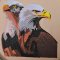 BFC2256 Two Proud Eagles