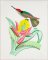 BFC2089 Vintage Hummingbirds with Flowers