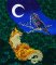 Fabric Pack for Background BFC2232