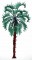 BFC0265 Tropical Palms