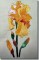 BFC0294 Watercolor Iris
