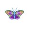 BFC31822 19th Anniversary Butterfly 12