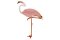 RMG34a Flamingo