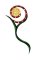 RMG45  Moon Snare Flower