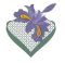 RMG474 iris fimbriata