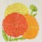 BFC0484 Seed Packet Flower Pack
