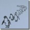 BFC0537 Penguins
