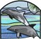 BFC0664 Stained Glass Dolphins