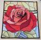 BFC2255 The Rose Stained Glass