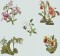 BFC0735 Orchid Jungle Designs