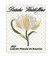 RMG754 Vintage Tulip