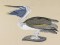 BFC0923 Audubon Water Birds by the Dozen