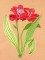 BFC0948 Alstroemeria-Peruvian Lilies