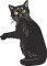 BFC2217 Van Gogh Style Black Cat