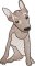 BFC2219 Cute Alpha Animals -R-Z
