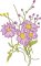 BFC2222 Graceful Florals Library