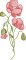 BFC2222 Graceful Florals Library