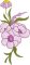 BFC2222 Graceful Florals Library