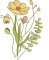 BFC2222 Graceful Florals Library