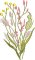 BFC2222 Graceful Florals Library