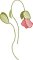 BFC2222 Graceful Florals Library