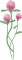 BFC2222 Graceful Florals Library