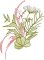 BFC2222 Graceful Florals Library
