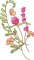 BFC2222 Graceful Florals Library