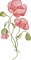 BFC2222 Graceful Florals Library