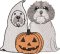 BFC2231 Ghostly Doggies