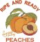 BFC2247 Vintage Fruit Signs