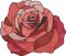 BFC2255 The Rose Stained Glass