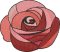 BFC2255 The Rose Stained Glass