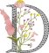 BFC32112  Graceful Floral Alphabet D