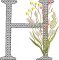 BFC32116  Graceful Floral Alphabet H