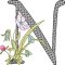 BFC32122 Graceful Floral Alphabet N