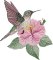 BFC32189 Hummingbird with Hibiscus